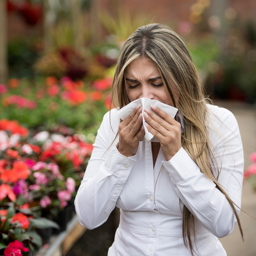 Heuschnupfen vorbeugen: Warum du schon im Winter aktiv werden solltes