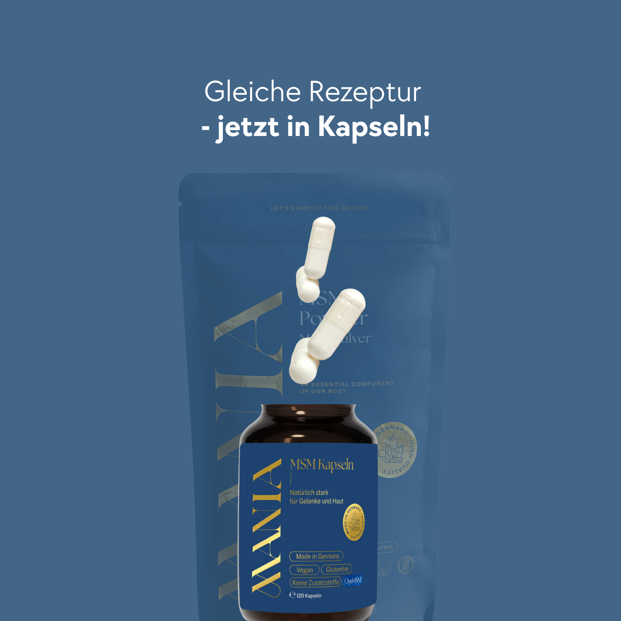 MSM Kapseln