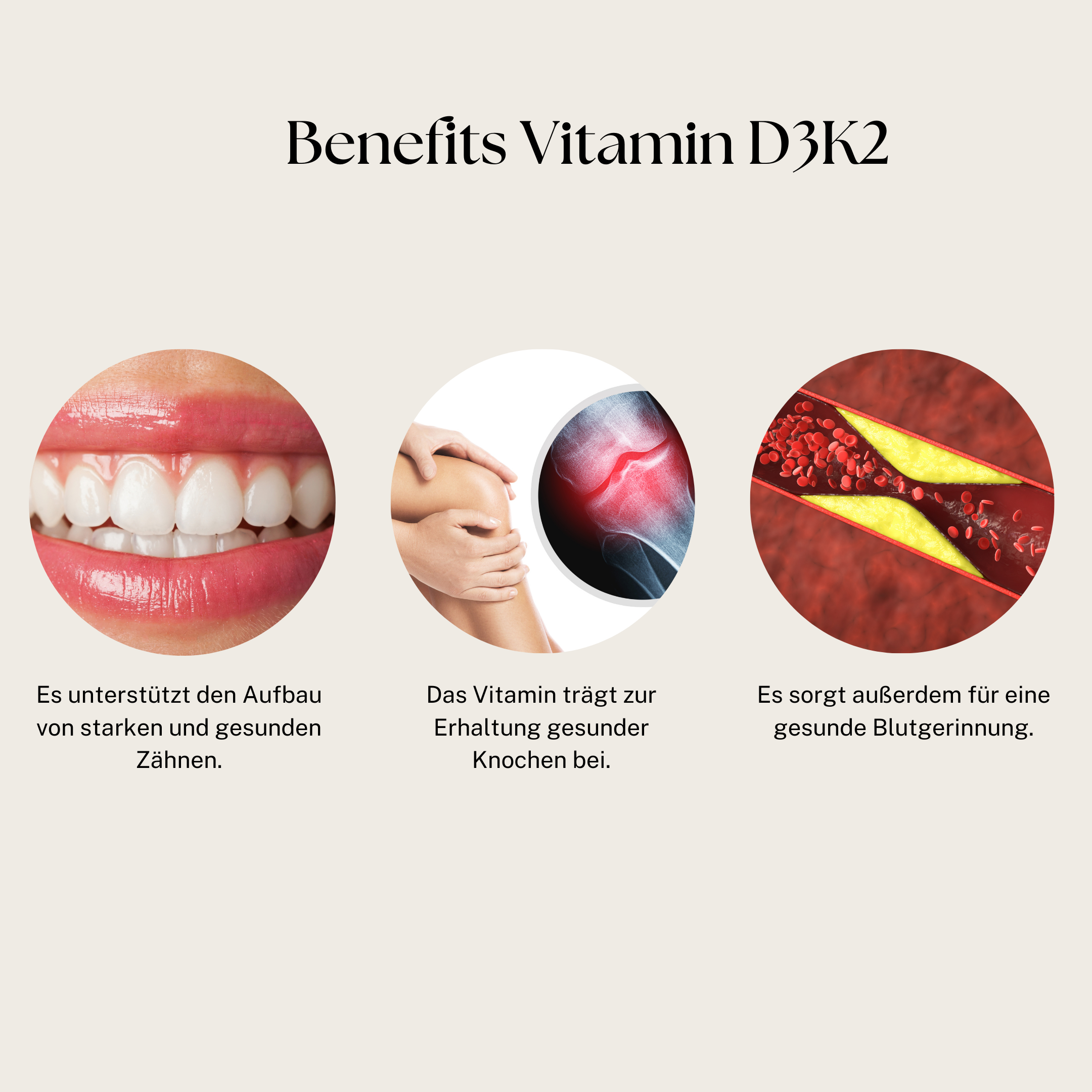 New Year, New Me Bundle