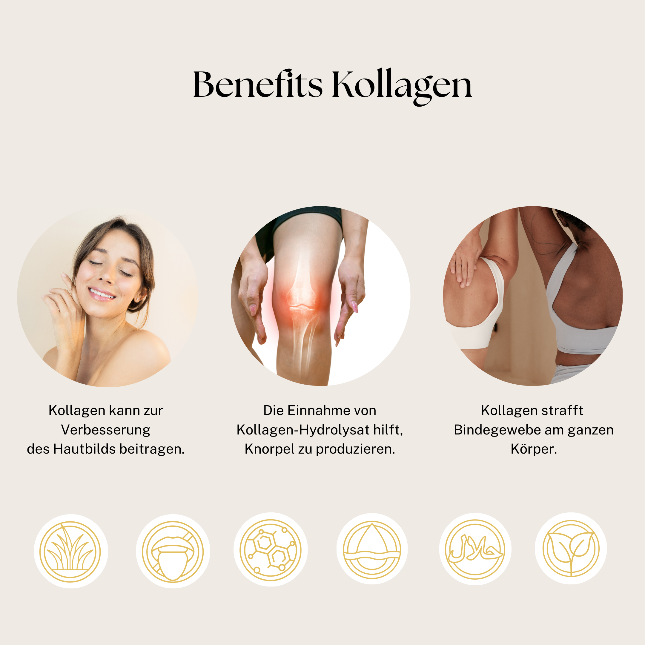 New Year, New Me Bundle