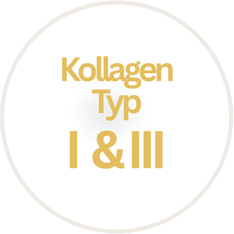 Typ I & III  