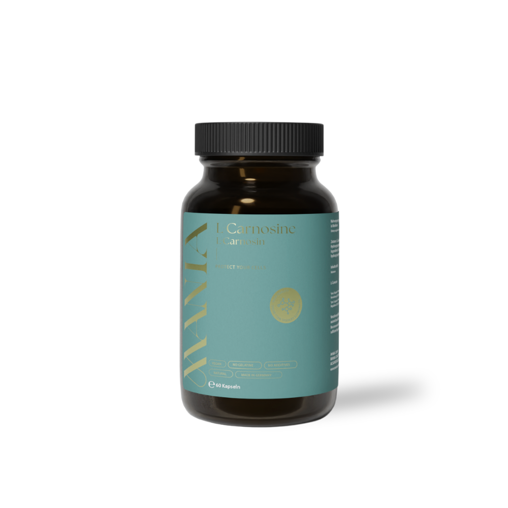 L-Carnosin